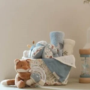 Cesto portaoggetti piccolo Forest Wonders - Amici della foresta  MULTICOLORE TE30404030